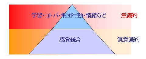 感覚統合は多くの活動の基礎となる